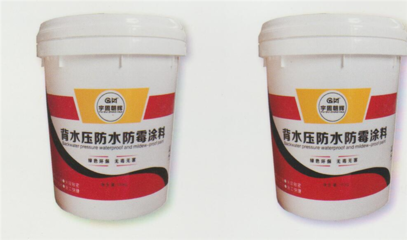 嘉峪关背水压防水涂料 守护建筑的坚韧之盾